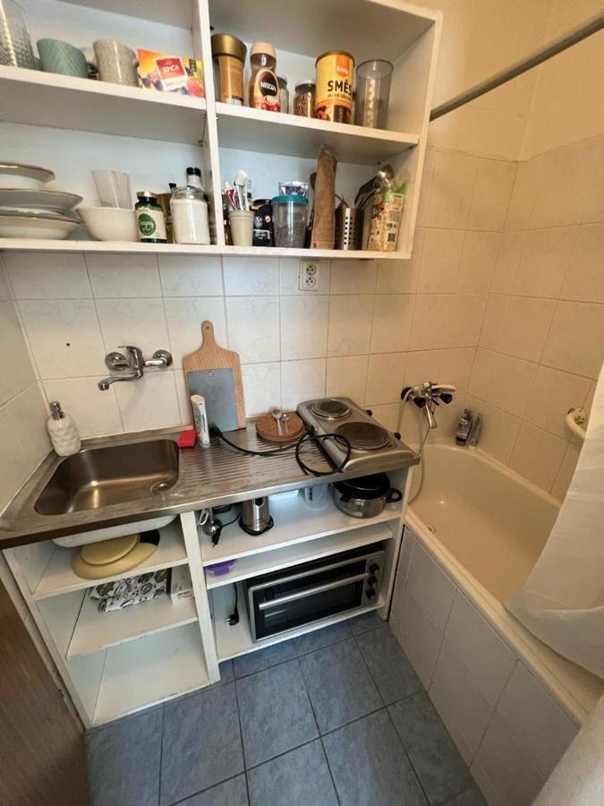 Apartment Lublanska 48 프라하 외부 사진